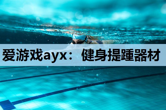 爱游戏ayx：健身提踵器材