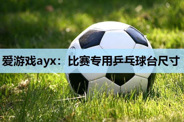 爱游戏ayx：比赛专用乒乓球台尺寸