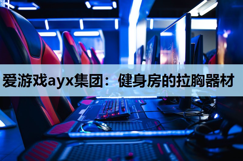 爱游戏ayx集团：健身房的拉胸器材