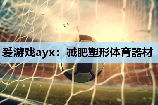 爱游戏ayx：减肥塑形体育器材