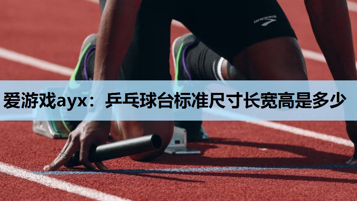 爱游戏ayx：乒乓球台标准尺寸长宽高是多少