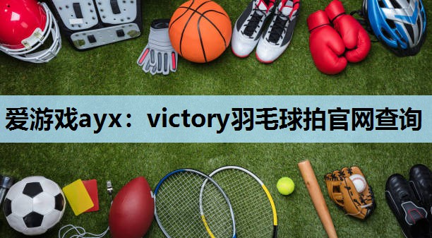 victory羽毛球拍官网查询