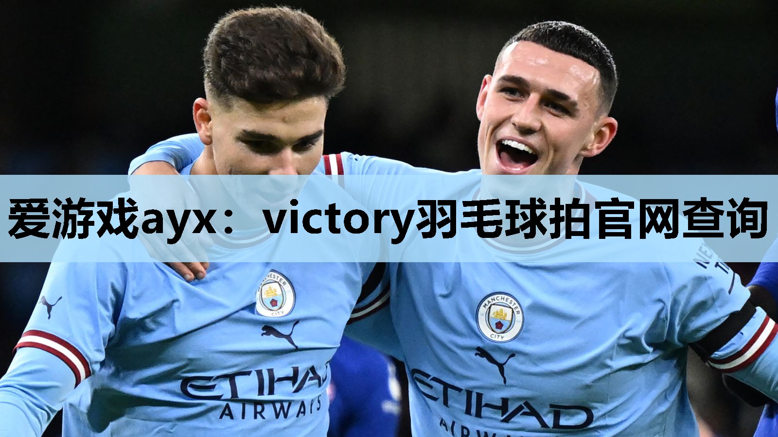 victory羽毛球拍官网查询